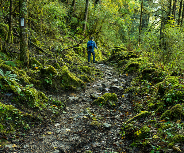 9 Days Western Bhutan Walking Holiday